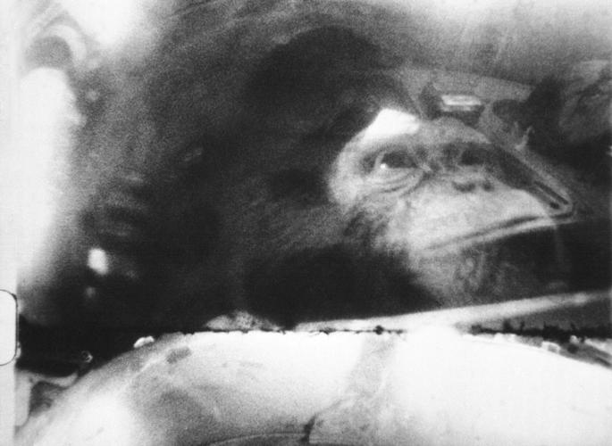 Space Earth U.S. Project Mercury Space Chimpanzee