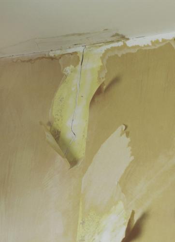 How To Spot Mold In Your Home | | Berkshireeagle.com