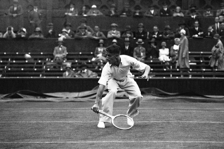 Wimbledon Tennis Bunny Austin