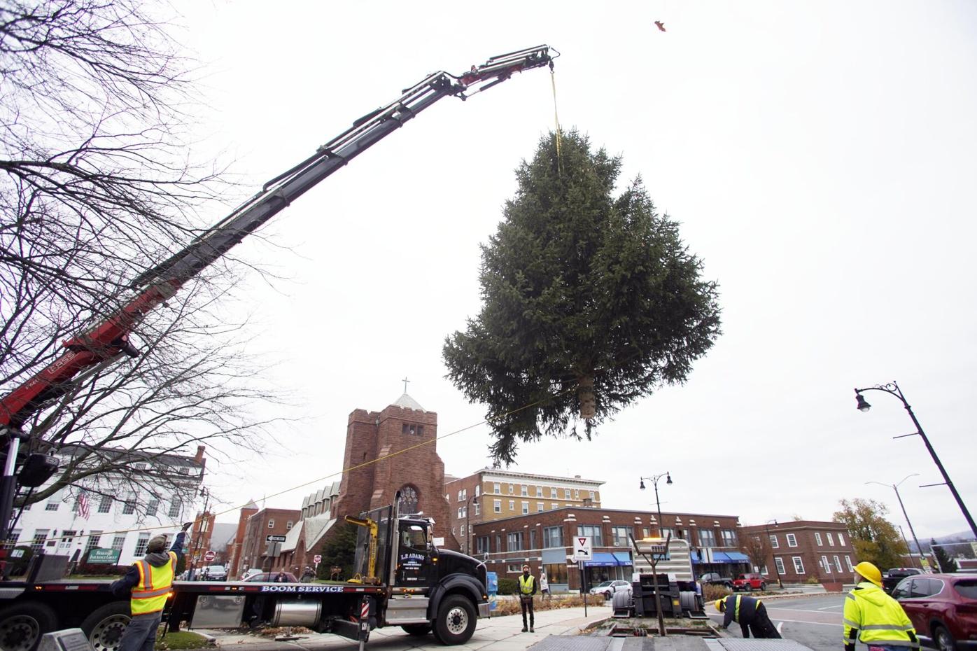 Evergreen tree on boom over Park Square