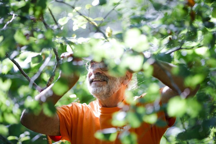 man in orange smiles while reaching in hawthorn tree