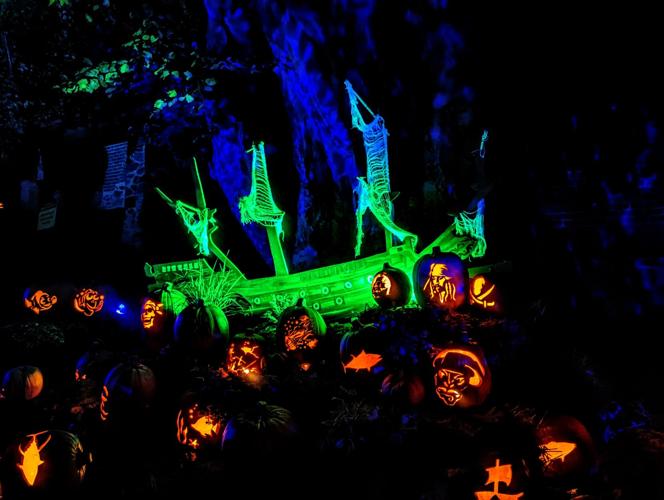 PHOTOS 2023 INCREDIBLE NAUMKEAG PUMPKIN SHOW Multimedia