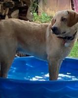 Brody standing in a swimming pool