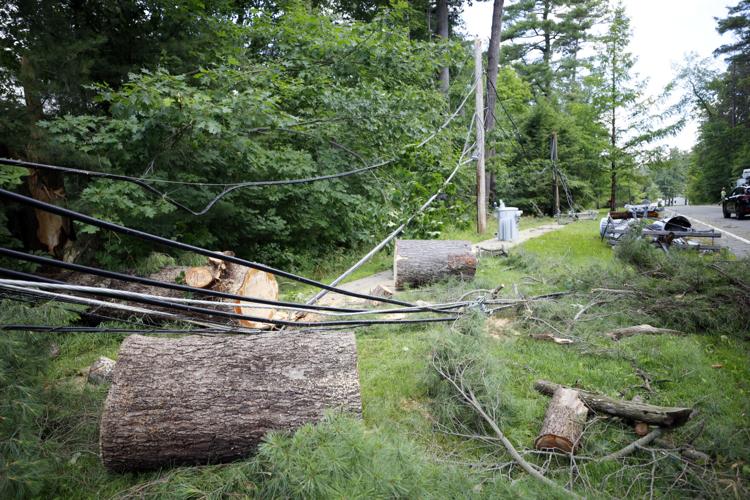 tree trunks cut up into chunks on fallen power lines