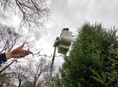 Lenox Community Center Urges Families To Join In Virtual Tree Lighting Local News Berkshireeagle Com