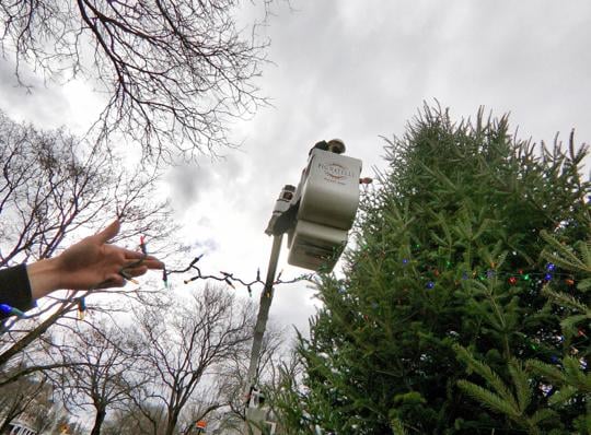 Pittsfield Christmas Tree Lighting 2021