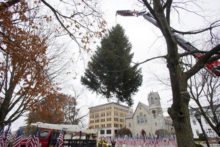 Photos Pittsfield installs the Christmas Tree in Park Square