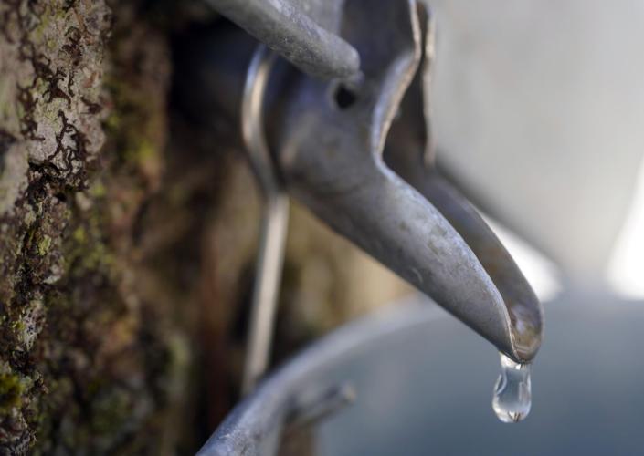 Photos Maple season begins at Gould Farm Multimedia