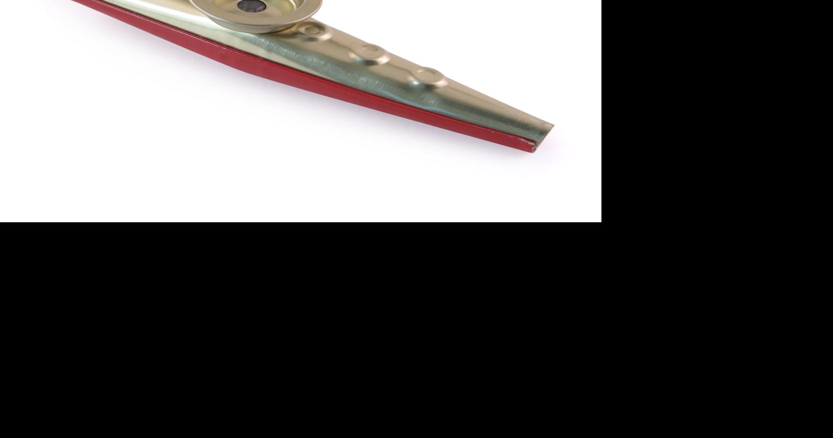 Word of the Week: Kazoo. How will you celebrate National Kazoo Day?