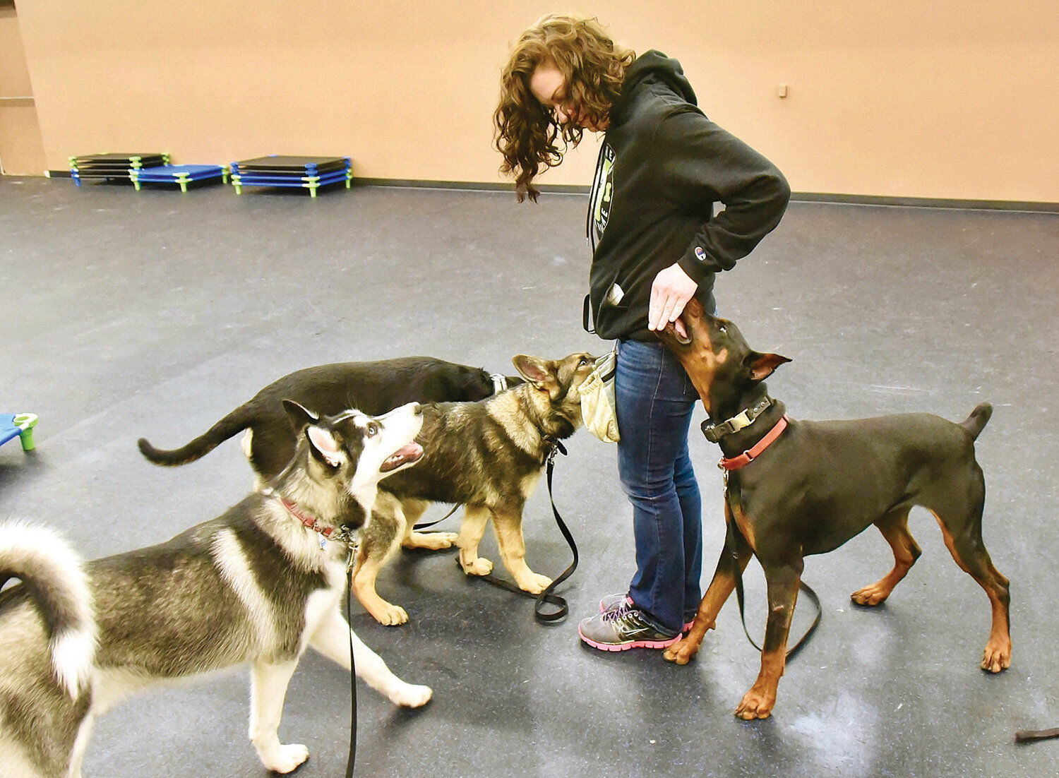 subaru dog obedience school commercial