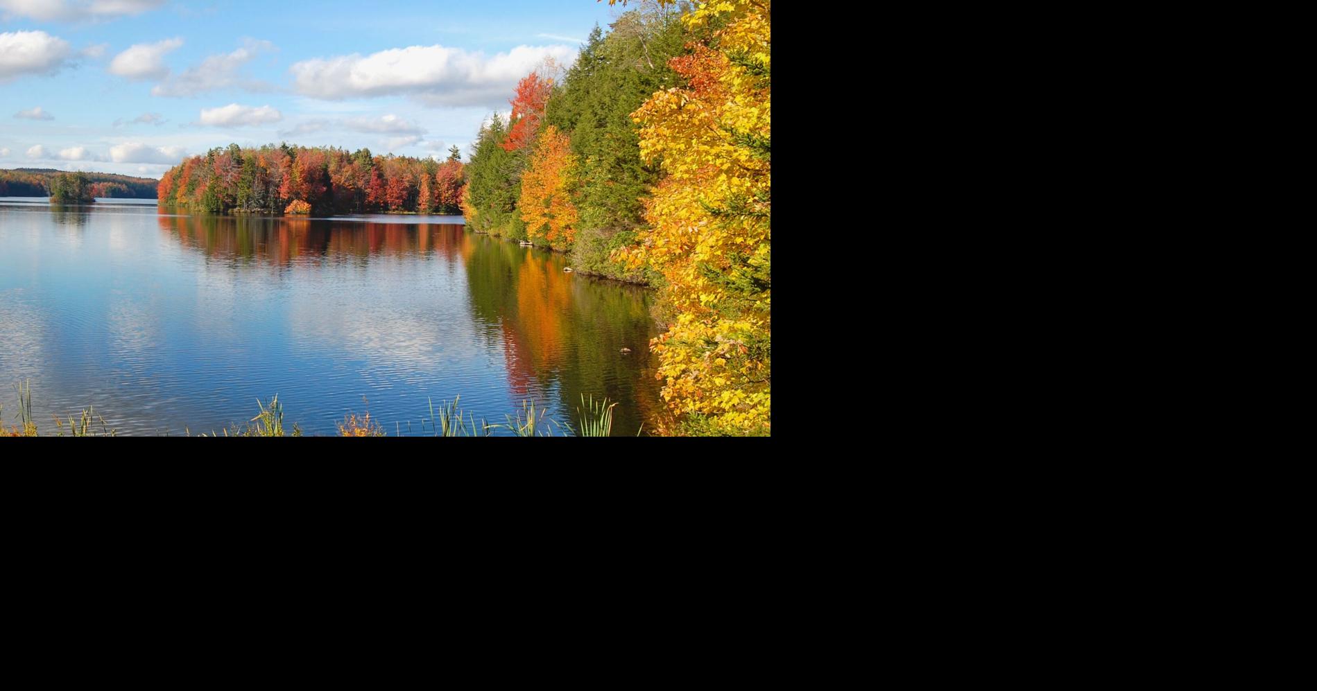 Mass Audubon Adquire Paraíso Natural em Becket: Prepare-se Para Se Maravilhar!