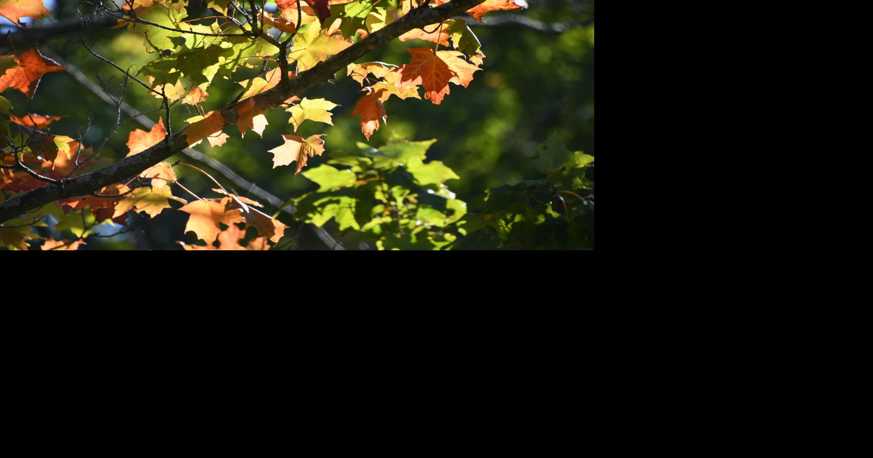 Summer’s last weekend opens high and dry in the Berkshires. But what about Sunday?