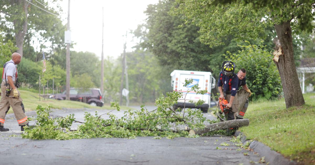 firefighters cutting downed tree branch