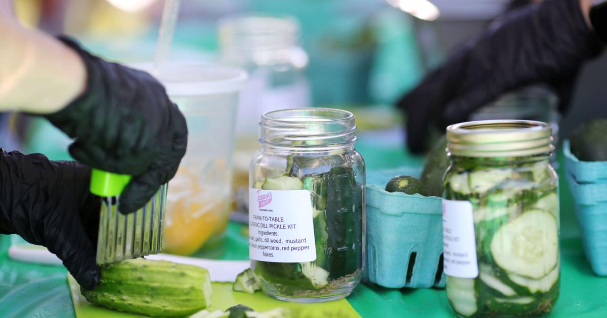 Tanner's Farm pickle making