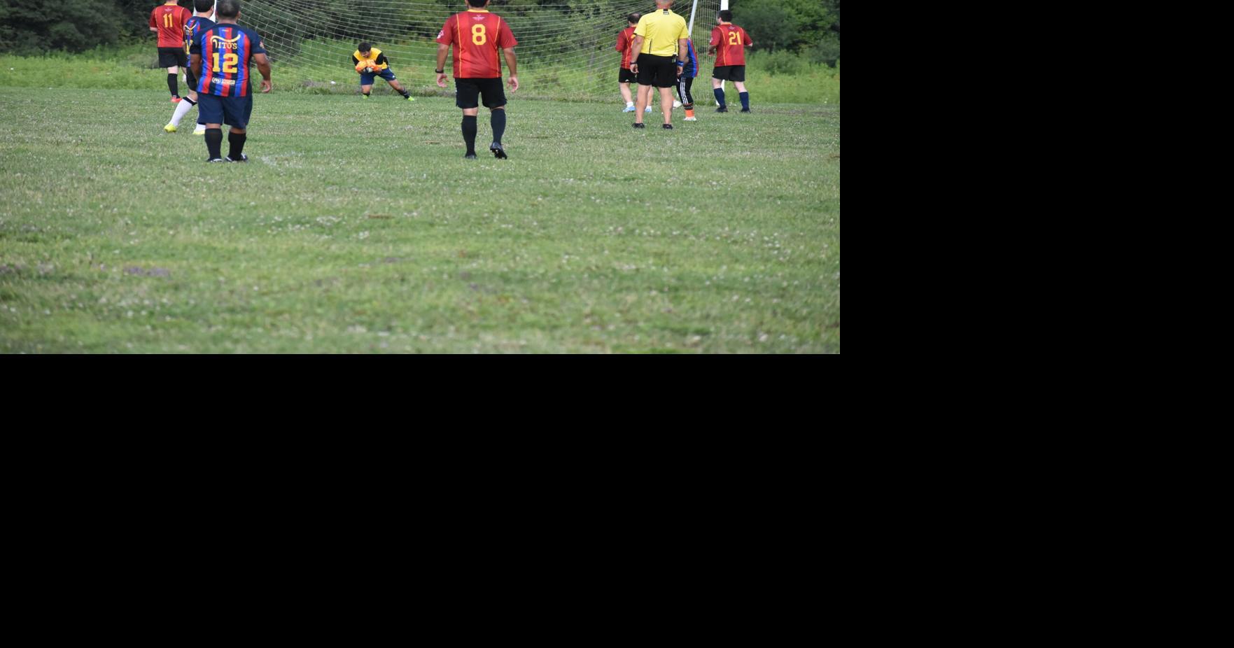 Lenox adult goalie