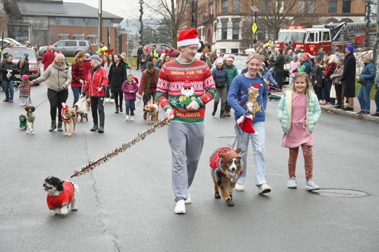 Photos 40th annual Holiday Walk and Reindog Parade in Williamstown