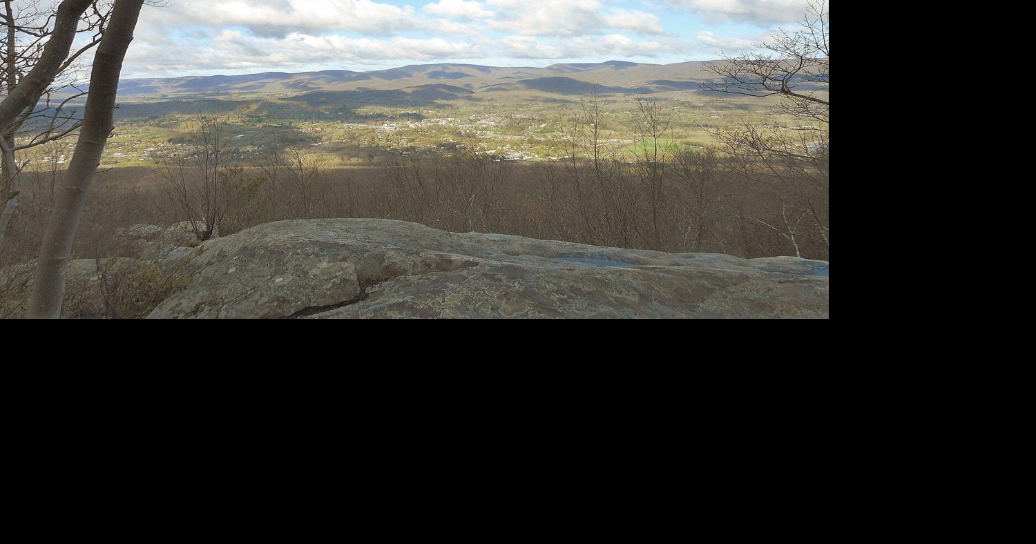 Lauren R. Stevens | Hikes & Walks: Searching for azaleas from ...