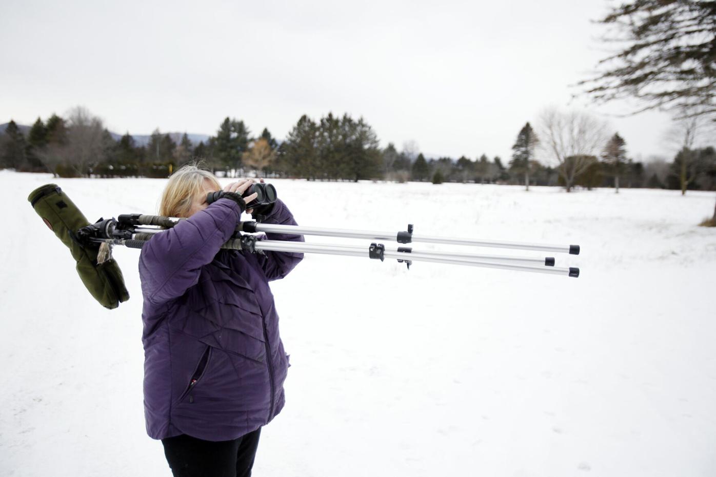 Christmas Bird Count 2017 2022 Wichita Ks Berkshire County Bird Count Numbers Come In Higher This Winter |  Home-Garden | Berkshireeagle.com