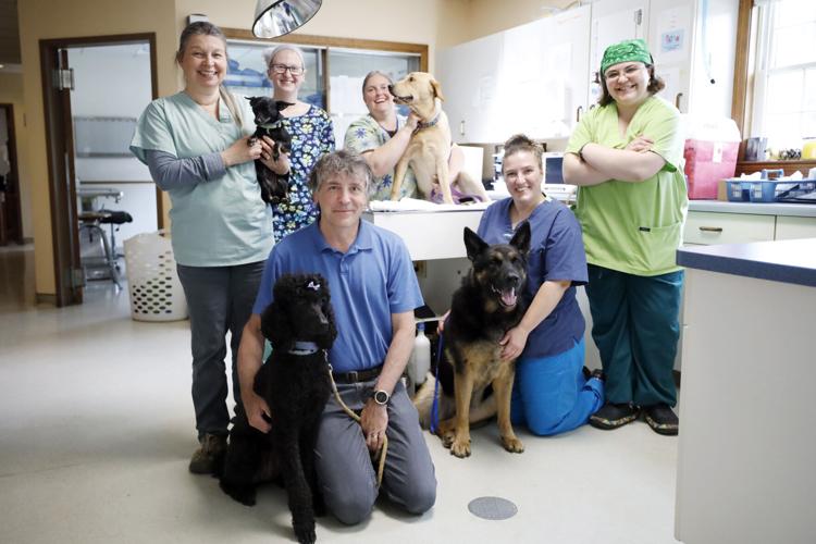 veterinary practice staff and dogs in veterinary hospital
