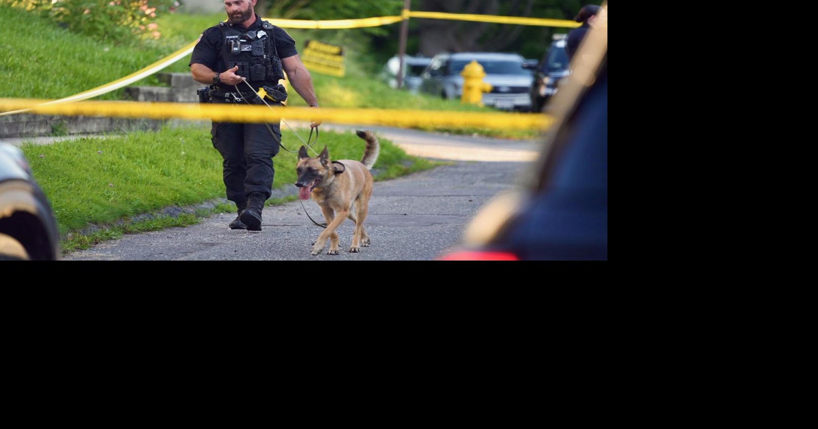 Pittsfield man arrested in Aug. 18 shooting on Circular Avenue