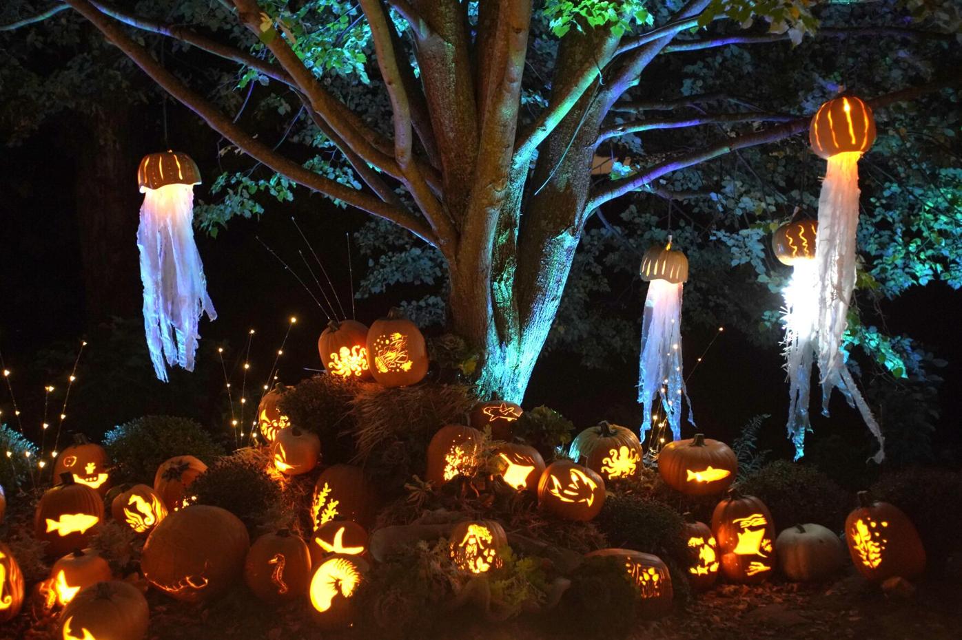 Even during COVID19, you can carve out some Halloween fun at Naumkeag Even during COVID19, you can carve out some Halloween fun at Naumkeag
