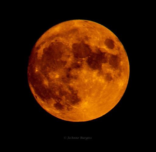 JoAnne Burgess Harvest full moon photo