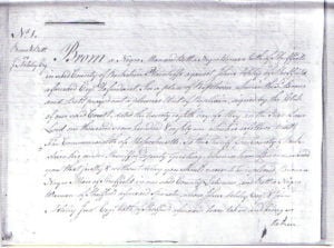 Elizabeth Freeman court documents