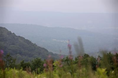 Berkshires Set for a Rain-Free Weekend After Months