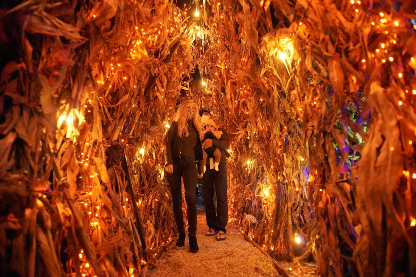 Even during COVID19, you can carve out some Halloween fun at Naumkeag