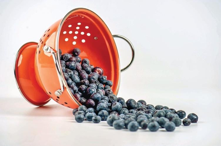 So, you picked 12 pounds of blueberries ... now what?
