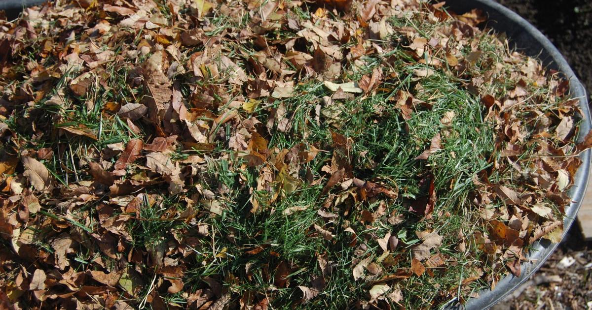 When the fading fall foliage hits the ground, turn it into mulch and compost material | Home-garden