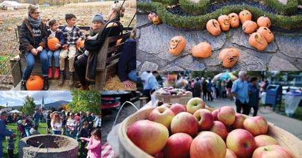 Autumn begins this weekend. Here's 12 fun events not to miss this fall in the Berkshires - Vimarsana News
