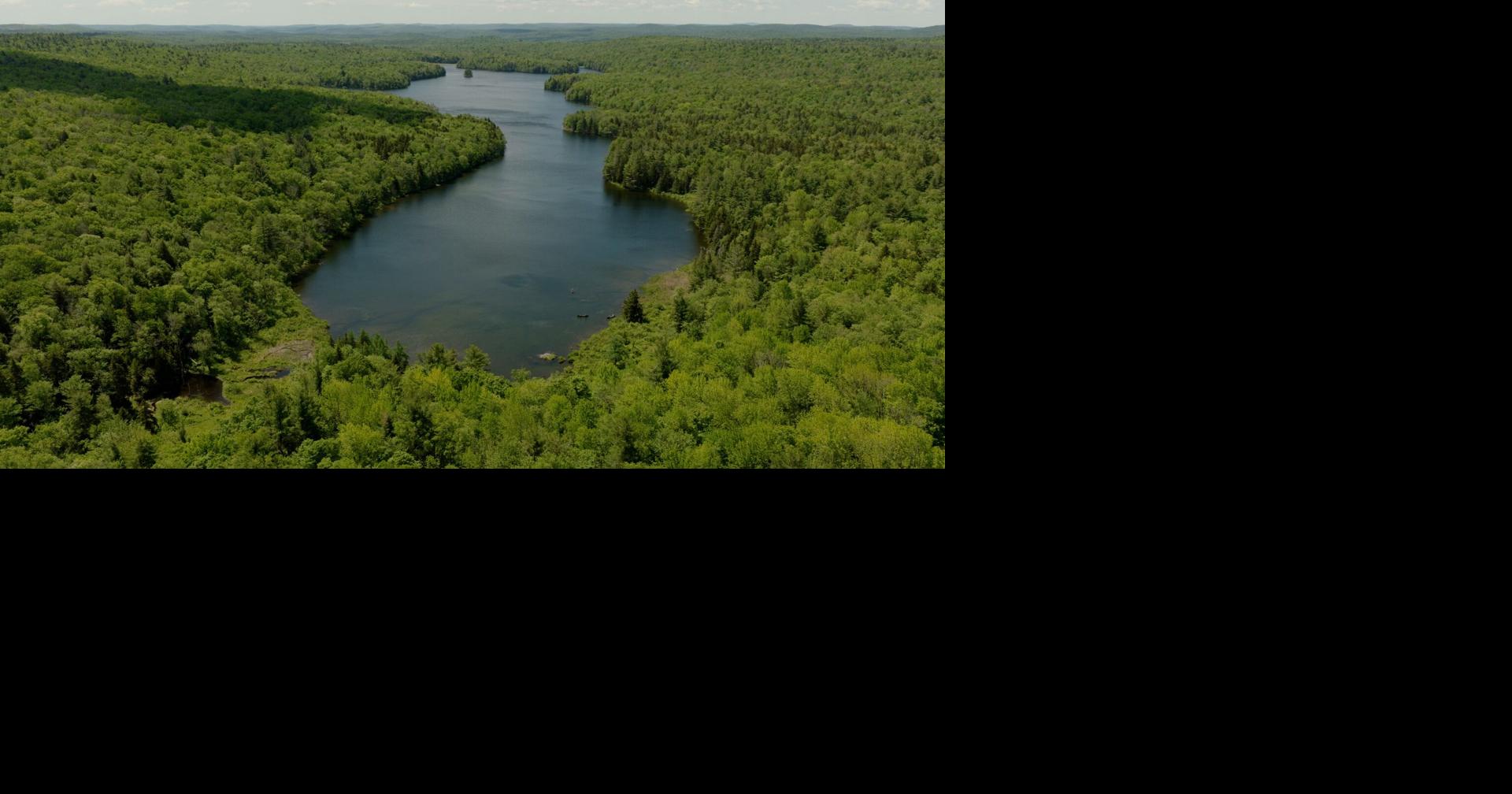 Mass Audubon creating its second-largest Berkshire wildlife preserve on newly acquired Becket parcel
