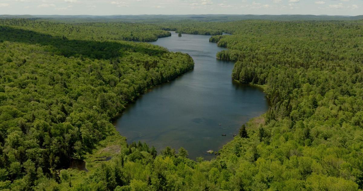 Mass Audubon creating its second-largest Berkshire wildlife preserve on newly acquired Becket parcel