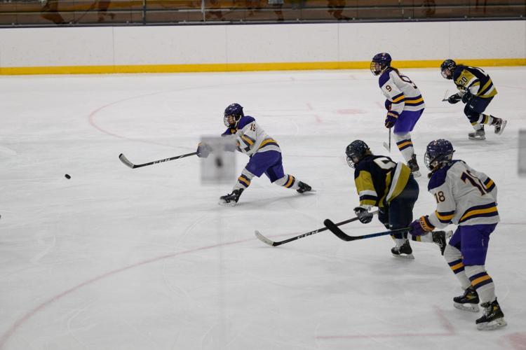 Trinity shuts out Williams College women in ice hockey Sports