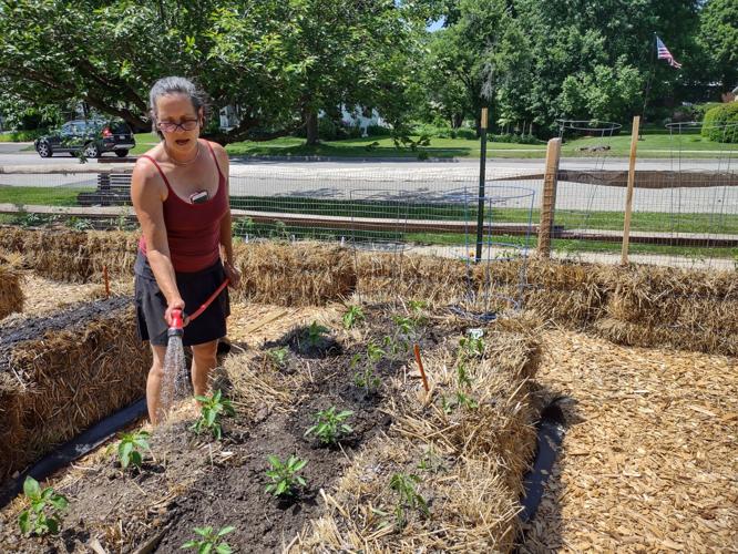 Lee Downtown Community Garden to help feed the needy with fresh produce