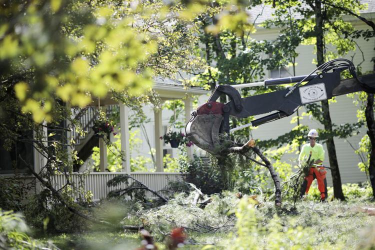 man and backhoe clear tree from yard
