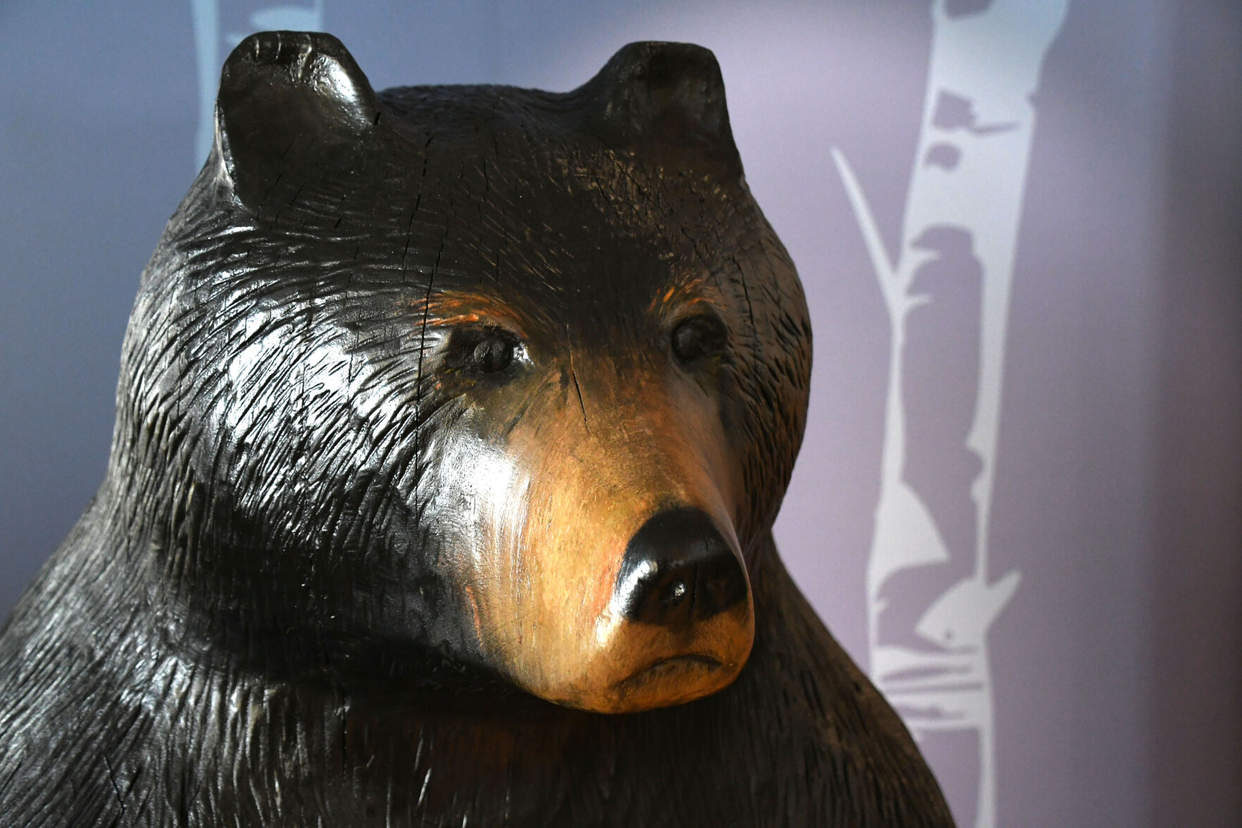 You could name the bear sculpture at the Greylock Glen Outdoor