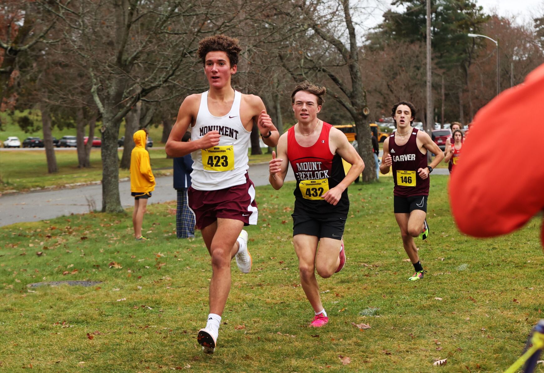 Photos: Berkshire County Boys Race At MIAA State Cross-Country ...