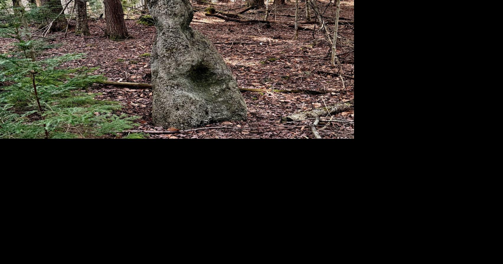 Preserving the past and present at Coles Brook