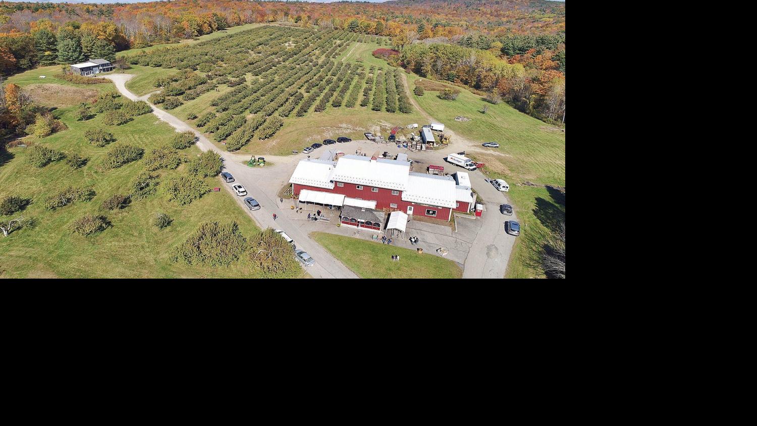 Hilltop Orchards for sale Archives