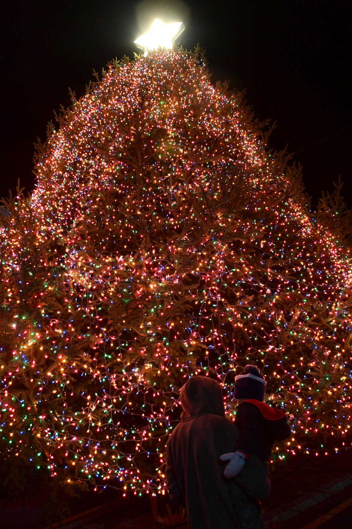 Photos: North Adams Christmas Tree Lighting | Multimedia ...