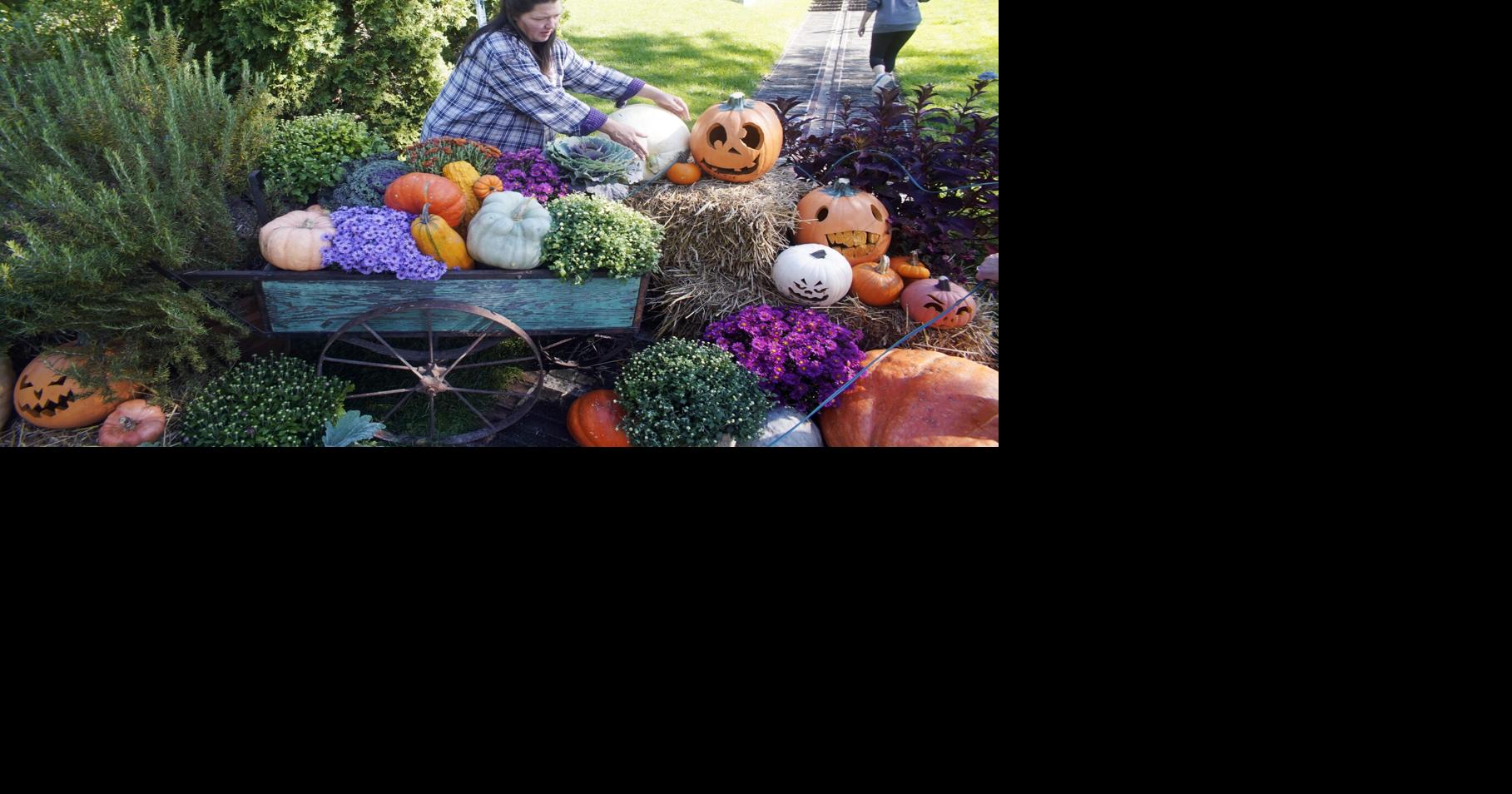 Get a behindthescenes look at the Incredible Naumkeag Pumpkin Show Multimedia