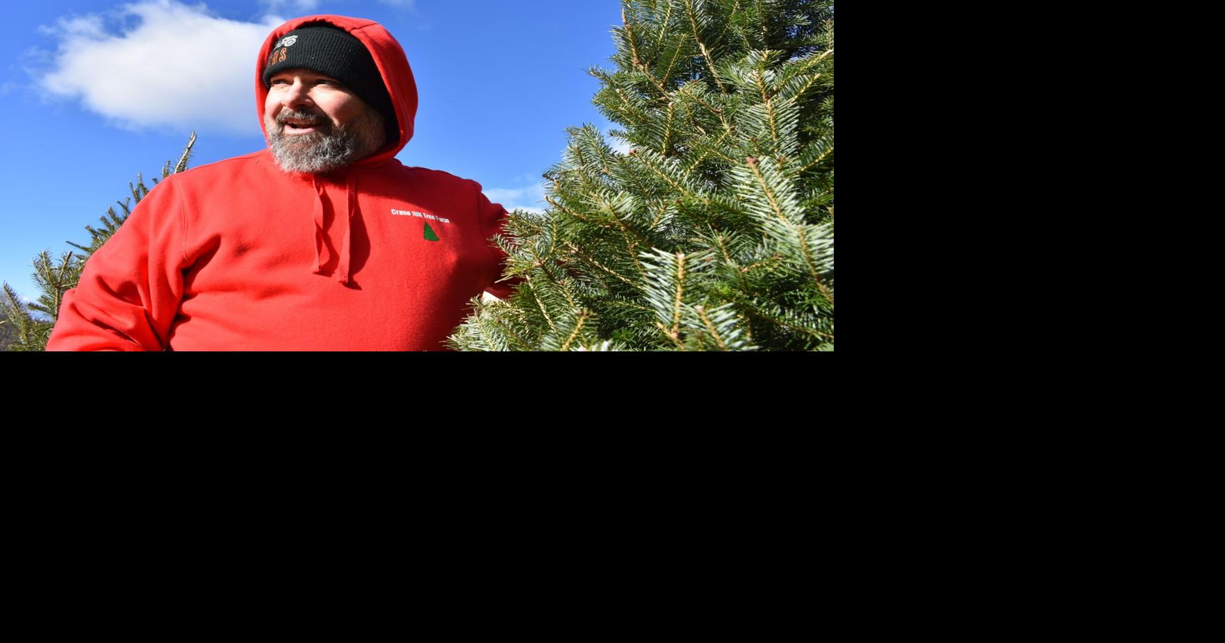'Building family traditions.' Residents flock to Crane Hill Tree Farm in Washington in search of the perfect Christmas tree