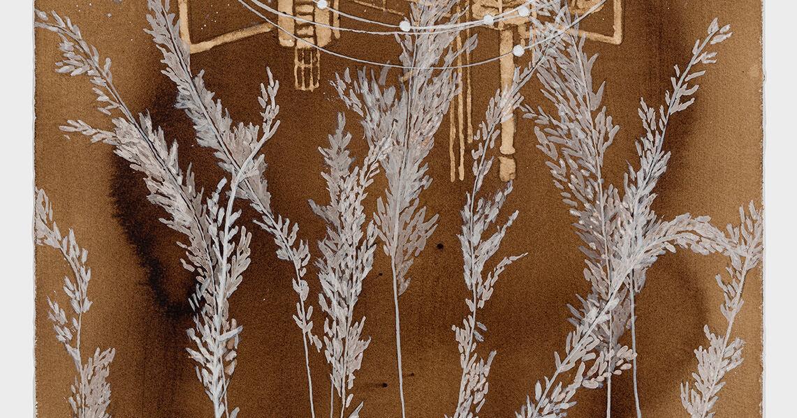 At Berkshire Botanical Garden, artist Ellen Driscoll's solo exhibition features paintings of plants that help heal polluted lands - Vimarsana News