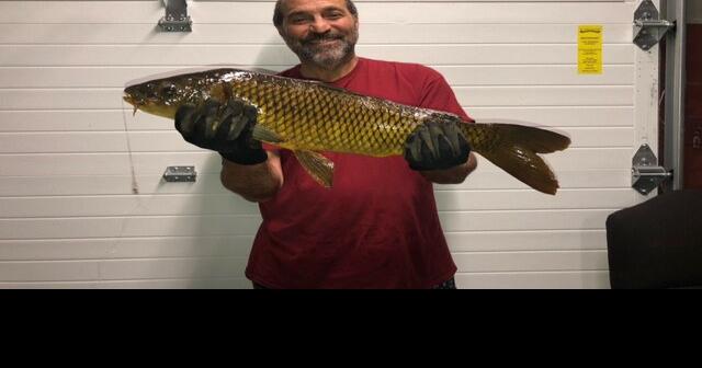 Gene Chague | Berkshire Woods and Waters: Several important ...