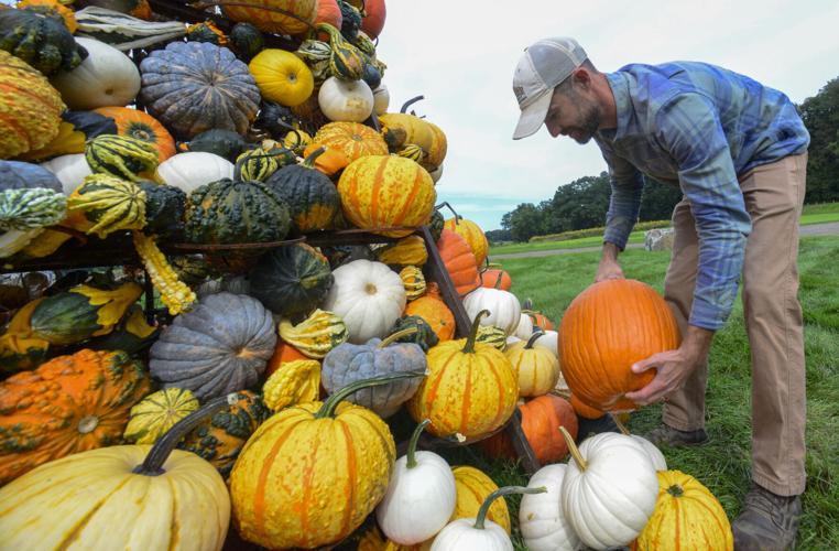PHOTOS Patterson Farm