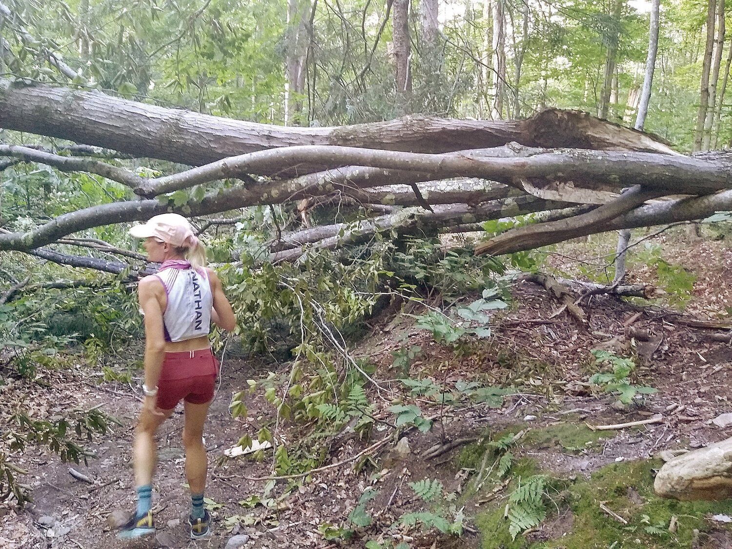 Mike Walsh | Runner's High: Mercury's Appalachian Trail quest