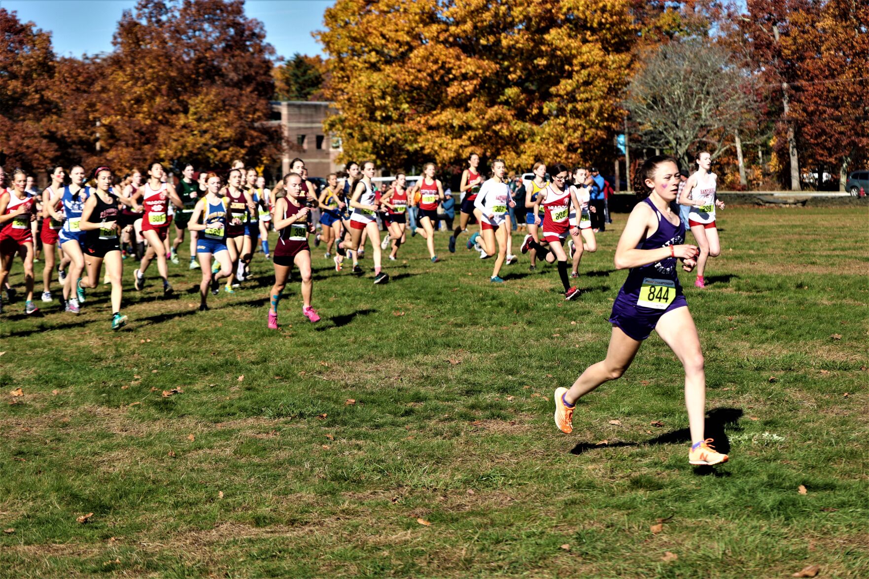 Cross-Country: Pittsfield's Harrington Is Runner-up At MIAA Division II ...