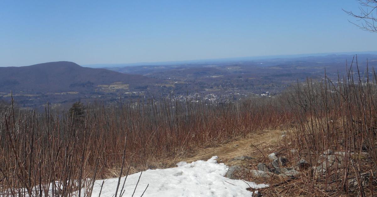Lauren R. Stevens: Earning panoramic views hiking Harmon Hill in southern Vermont Lauren R. Stevens: Earning panoramic views hiking Harmon Hill in southern Vermont